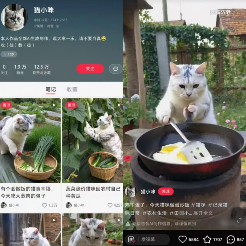 借助AI快速起号,猫咪做饭火了-创所未见!天奇轻创团